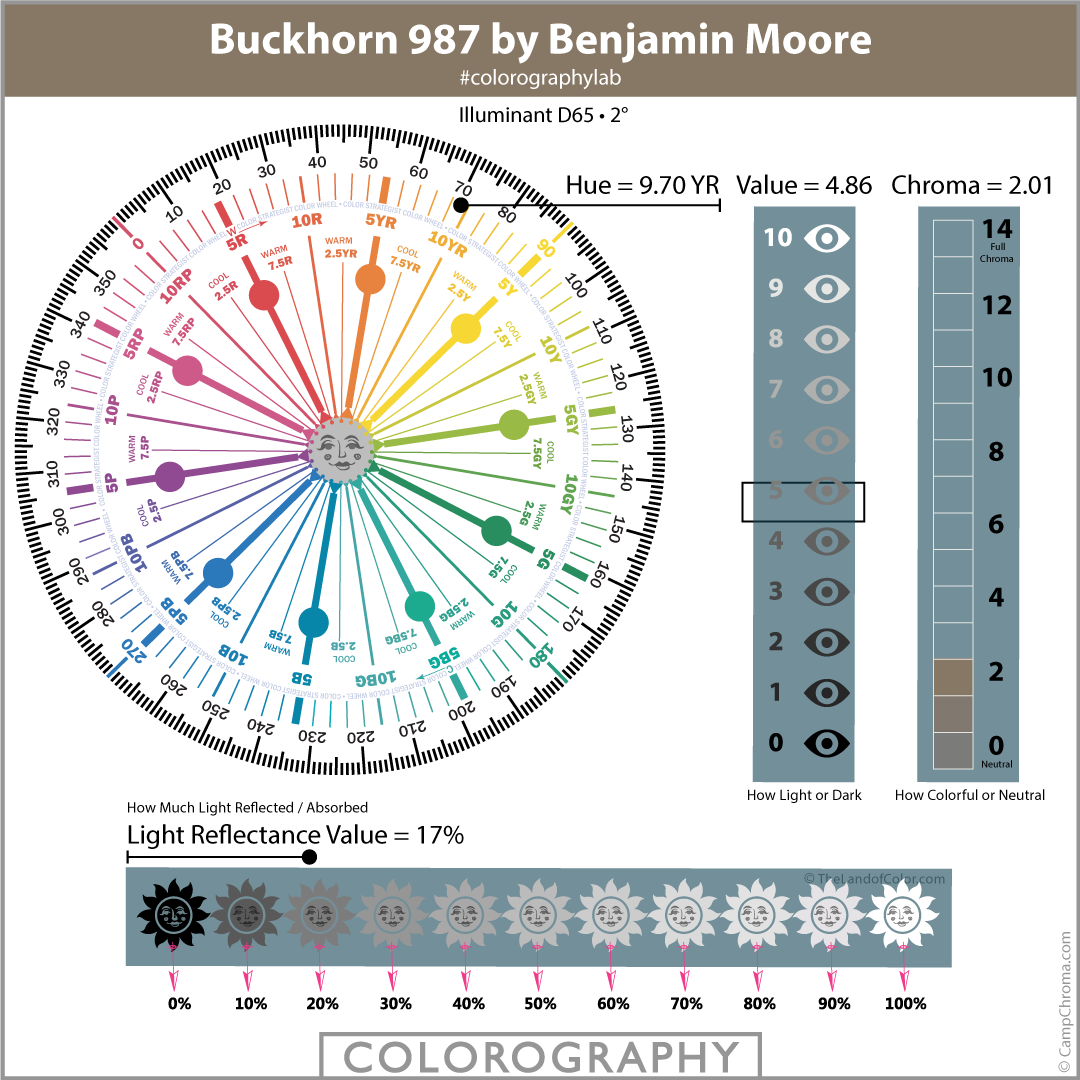 Buckhorn 987 by Benjamin Moore
