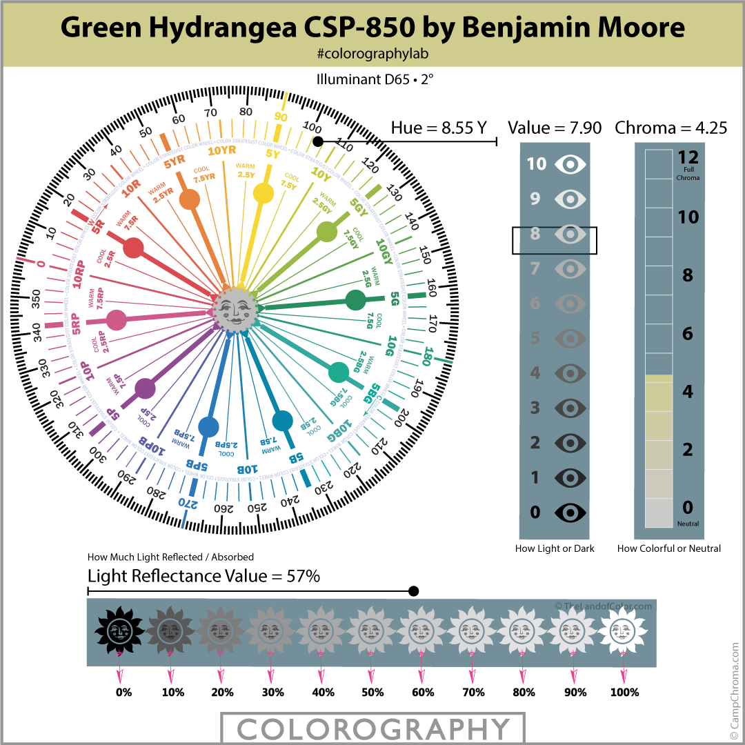 Green Hydrangea CSP-850 by Benjamin Moore