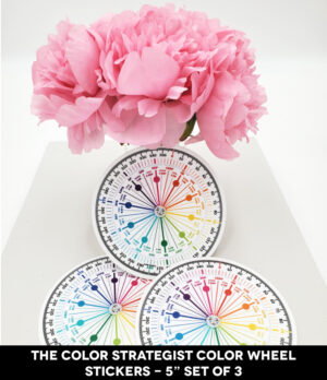 The Color Strategist Color Wheel 5"