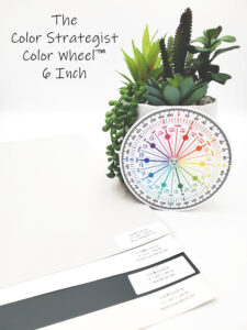 The Color Strategist Color Wheel 6"